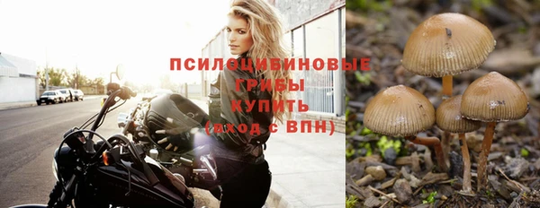 каннабис Баксан