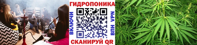 Конопля конопля  Крымск 